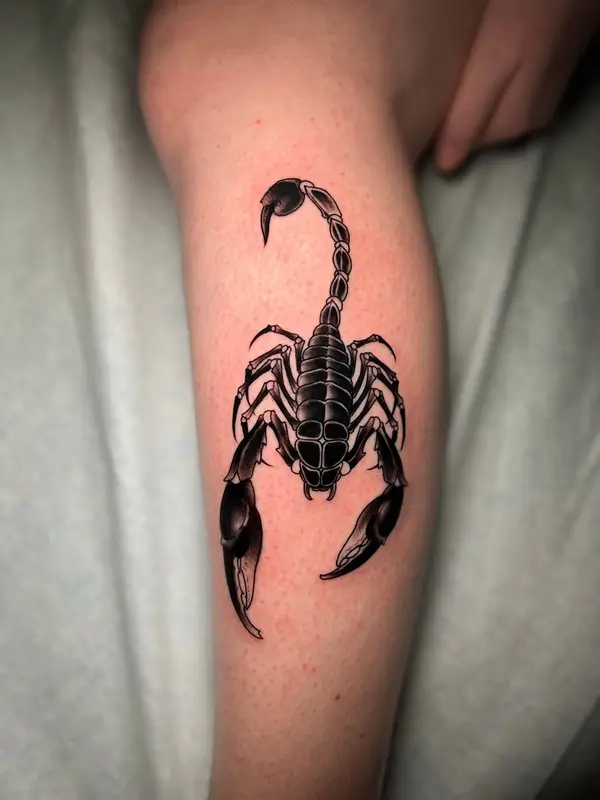 Tattoo work at Modified Tattoo Gallery in Winter Park, FL