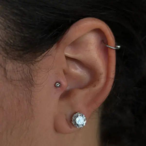 Tragus piercing with a gem stud, a forward helix hoop, and a round CZ lobe stud by T (Piercing Piranha) at Modified Tattoo Gallery in Winter Park, FL